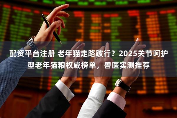 配资平台注册 老年猫走路跛行？2025关节呵护型老年猫粮权威榜单，兽医实测推荐
