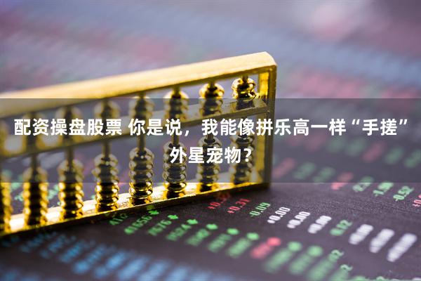 配资操盘股票 你是说，我能像拼乐高一样“手搓”外星宠物？